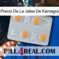 Kamagra Jelly Price 24